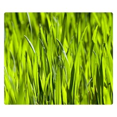 Agricultural Field   Double Sided Flano Blanket (small)  by rsooll