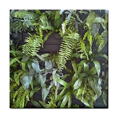 Living Wall Tile Coasters by Riverwoman