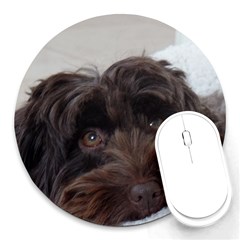 Laying In Dog Bed Round Mousepads by pauchesstore