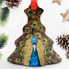 Peacock Feather Peacock Feather Ornament (christmas Tree)  by Pakrebo