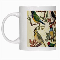 Vintage Birds White Mugs by Valentinaart