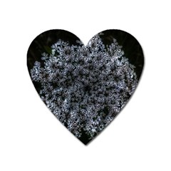 Queen Annes Lace In White Heart Magnet by okhismakingart