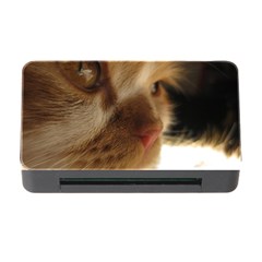 Cute Cat Face Memory Card Reader With Cf by LoolyElzayat