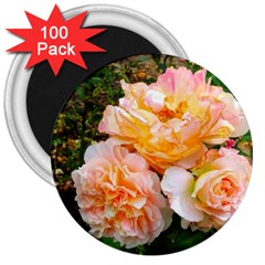 Bunch Of Orange And Pink Roses 3  Magnets (100 Pack) by okhismakingart