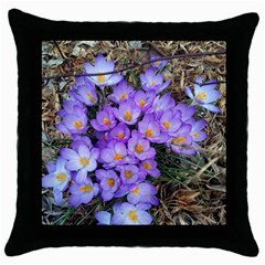 Signs Of Spring Purple Crocua Throw Pillow Case (black) by Riverwoman