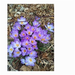 Signs Of Spring Purple Crocua Small Garden Flag (two Sides) by Riverwoman