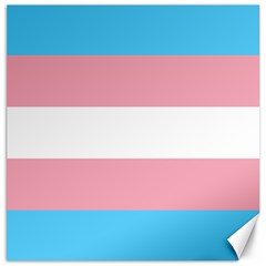 Transgender Pride Flag Canvas 12  X 12  by lgbtnation