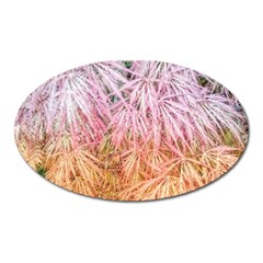 Fineleaf Japanese Maple Highlights Oval Magnet by Riverwoman