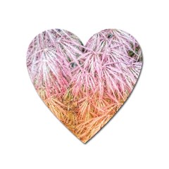 Fineleaf Japanese Maple Highlights Heart Magnet by Riverwoman