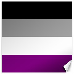 Asexual Pride Flag Lgbtq Canvas 12  X 12  by lgbtnation