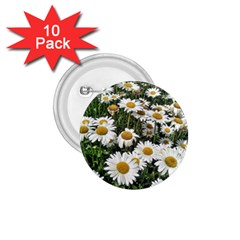 Columbus Commons Shasta Daisies 1 75  Buttons (10 Pack) by Riverwoman