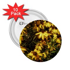 Echinacea Paradoxa 2 25  Buttons (10 Pack)  by Riverwoman