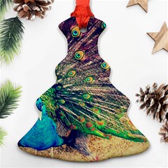 Bird Biology Fauna Material Chile Peacock Plumage Feathers Symmetry Vertebrate Peafowl Christmas Tree Ornament (two Sides) by Vaneshart