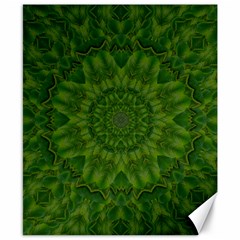 Fauna Nature Ornate Leaf Canvas 8  X 10  by pepitasart