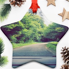 Photo Vue Sur Forêt  Ornament (star) by kcreatif