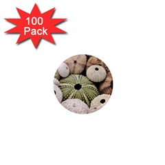 Sea Urchins 1  Mini Magnets (100 Pack)  by TheLazyPineapple