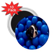 Cute Balls Puppy 2 25  Magnets (10 Pack)  by Sparkle