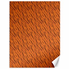 Animal Skin - Lion And Orange Skinnes Animals - Savannah And Africa Canvas 36  X 48  by DinzDas