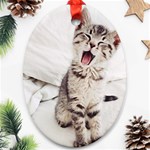 Laughing Kitten Oval Ornament (Two Sides) Back