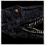 Trex Dinosaur Head Dark Poster Canvas 12  x 12  11.4 x11.56  Canvas - 1