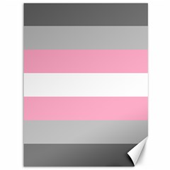 Demigirl Pride Flag Lgbtq Canvas 36  X 48  by lgbtnation