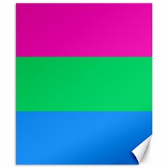 Polysexual Pride Flag Lgbtq Canvas 8  X 10  by lgbtnation