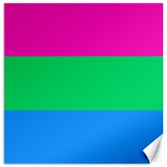 Polysexual Pride Flag Lgbtq Canvas 12  X 12  by lgbtnation