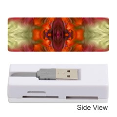 Landscape In A Colorful Structural Habitat Ornate Memory Card Reader (stick) by pepitasart