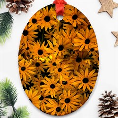 Rudbeckias  Oval Ornament (two Sides) by Sobalvarro