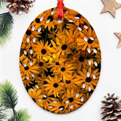 Rudbeckias  Oval Filigree Ornament (two Sides) by Sobalvarro