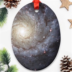 Spiral Galaxy Ornament (oval) by ExtraAwesomeSauce