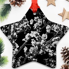 Fleurs De Cerisier Noir & Blanc Ornament (star) by kcreatif