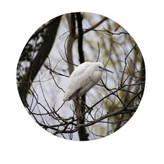 White Egret Mini Round Pill Box (pack Of 5) by SomethingForEveryone