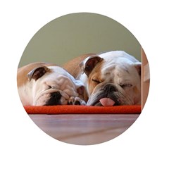 2 Sleeping Bulldogs Mini Round Pill Box (pack Of 3) by SomethingForEveryone