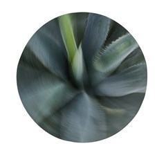 The Agave Heart In Motion Mini Round Pill Box by DimitriosArt