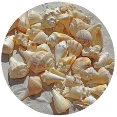 Sea-shells Bg Wooden Bottle Opener (round) by SomethingForEveryone