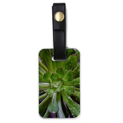 The Heart Of The Green Sun Luggage Tag (one Side) by DimitriosArt