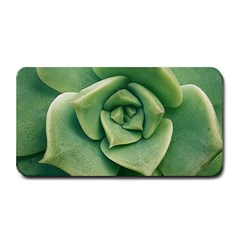 Echeveria Imbricata Closeup Photo Medium Bar Mats by dflcprintsclothing