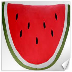 Watermelon Pillow Fluffy Canvas 12  X 12  by artworkshop