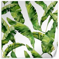 Sheets Tropical Plant Palm Summer Exotic Canvas 12  X 12  by artworkshop