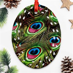 Peacock-feathers-color-plumage Oval Filigree Ornament (two Sides) by Celenk