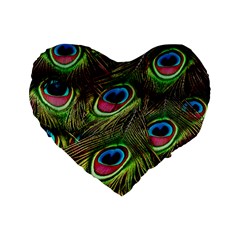 Peacock-feathers-color-plumage Standard 16  Premium Heart Shape Cushions by Celenk