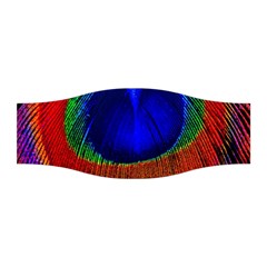 Peacock Plumage Fearher Bird Pattern Stretchable Headband by Sapixe