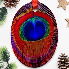 Peacock Plumage Fearher Bird Pattern Ornament (oval) by Sapixe