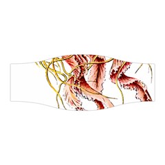 Animal Art Forms In Nature Jellyfish Stretchable Headband by Sapixe