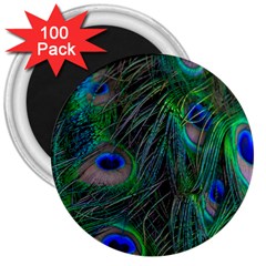 Beautiful Peacock Feathers 3  Magnets (100 Pack) by Ravend