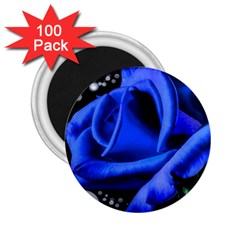 Blue Rose Bloom Blossom 2 25  Magnets (100 Pack)  by Wegoenart