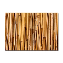 Asian Background Bamboo Sticker A4 (10 Pack) by Wegoenart