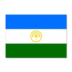 Bashkortostan Flag Sticker A4 (100 Pack) by tony4urban