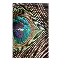 Peacock Shower Curtain 48  X 72  (small)  by StarvingArtisan